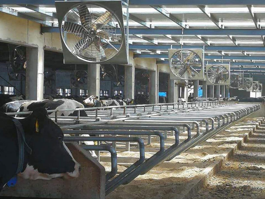 系統門窗價格是多少？系統門窗如何選呢？